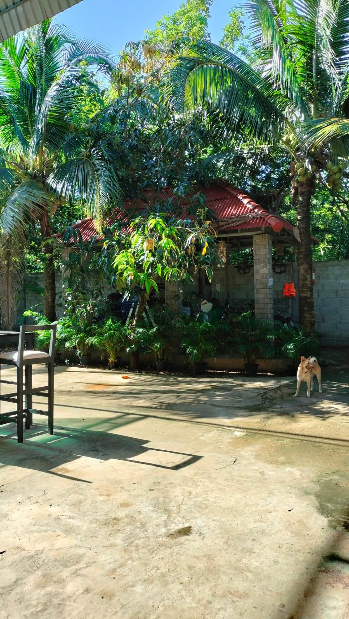 La Maison De Soriya - Work & Stay Kampot Dış mekan fotoğraf